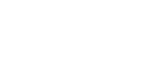 Princess boat cover